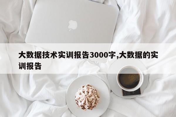 大数据技术实训报告3000字,大数据的实训报告