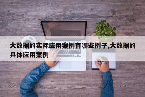 大数据的实际应用案例有哪些例子,大数据的具体应用案例