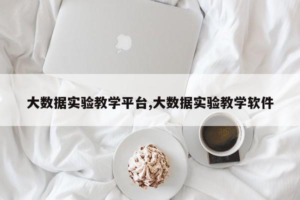 大数据实验教学平台,大数据实验教学软件