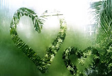 活性炭哪个牌子除甲醛效果好?推荐这十款,环保健康又实惠!