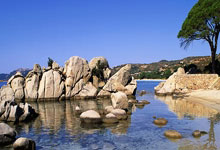 魔铲破碎豆腐猫砂：以创新工艺引领环保养宠新趋势